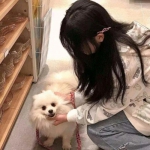 三界掌门人手游下载